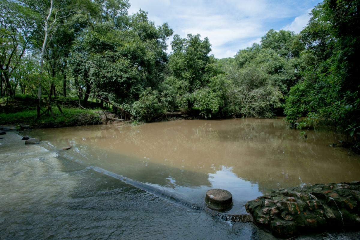 O PSA incentiva e apoia produtores rurais que preservam áreas com potencial para produção de água