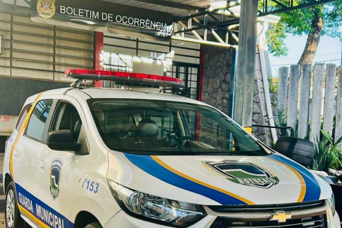 Registro da ocorrência foi apresentado pela GCM