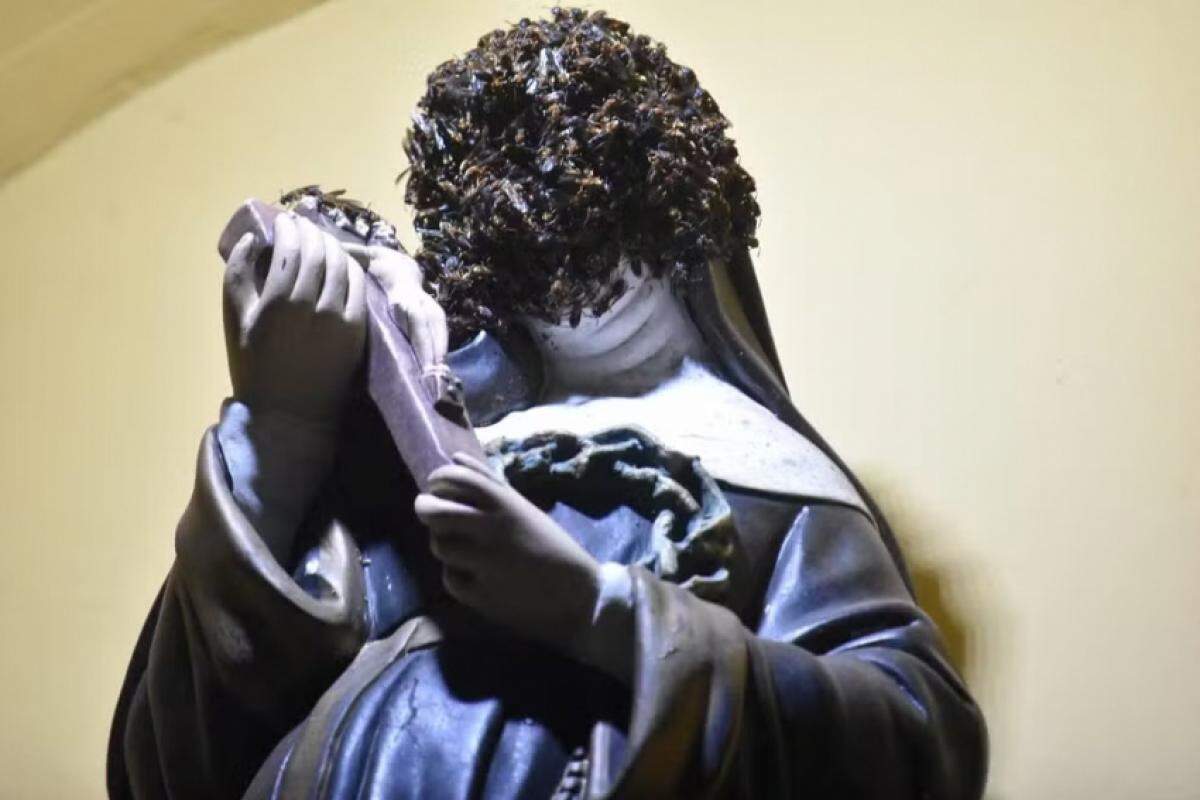  O ninho foi formado na entrada da igreja, a uma altura de aproximadamente quatro metros