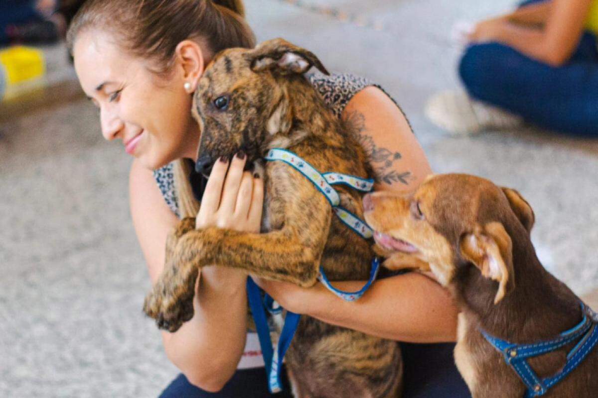 Registro é voluntário e gratuito.