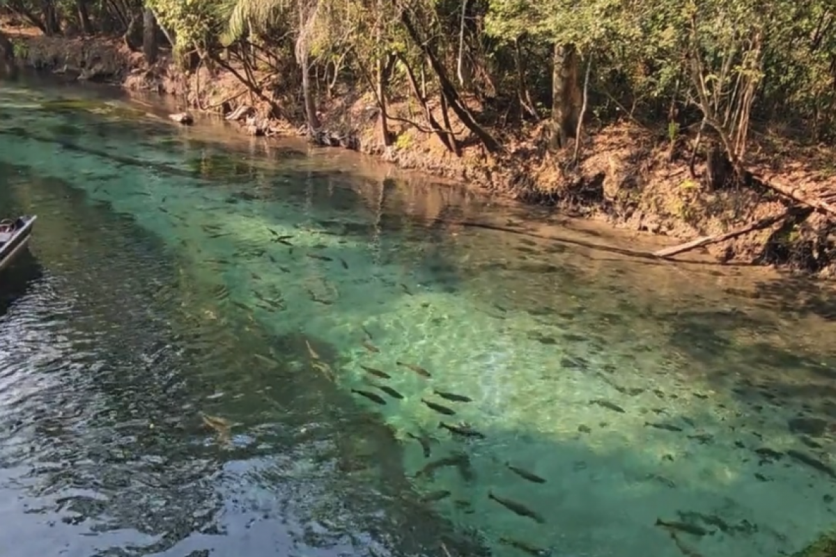 Bonito é considerada o melhor destino de ecoturismo do país.