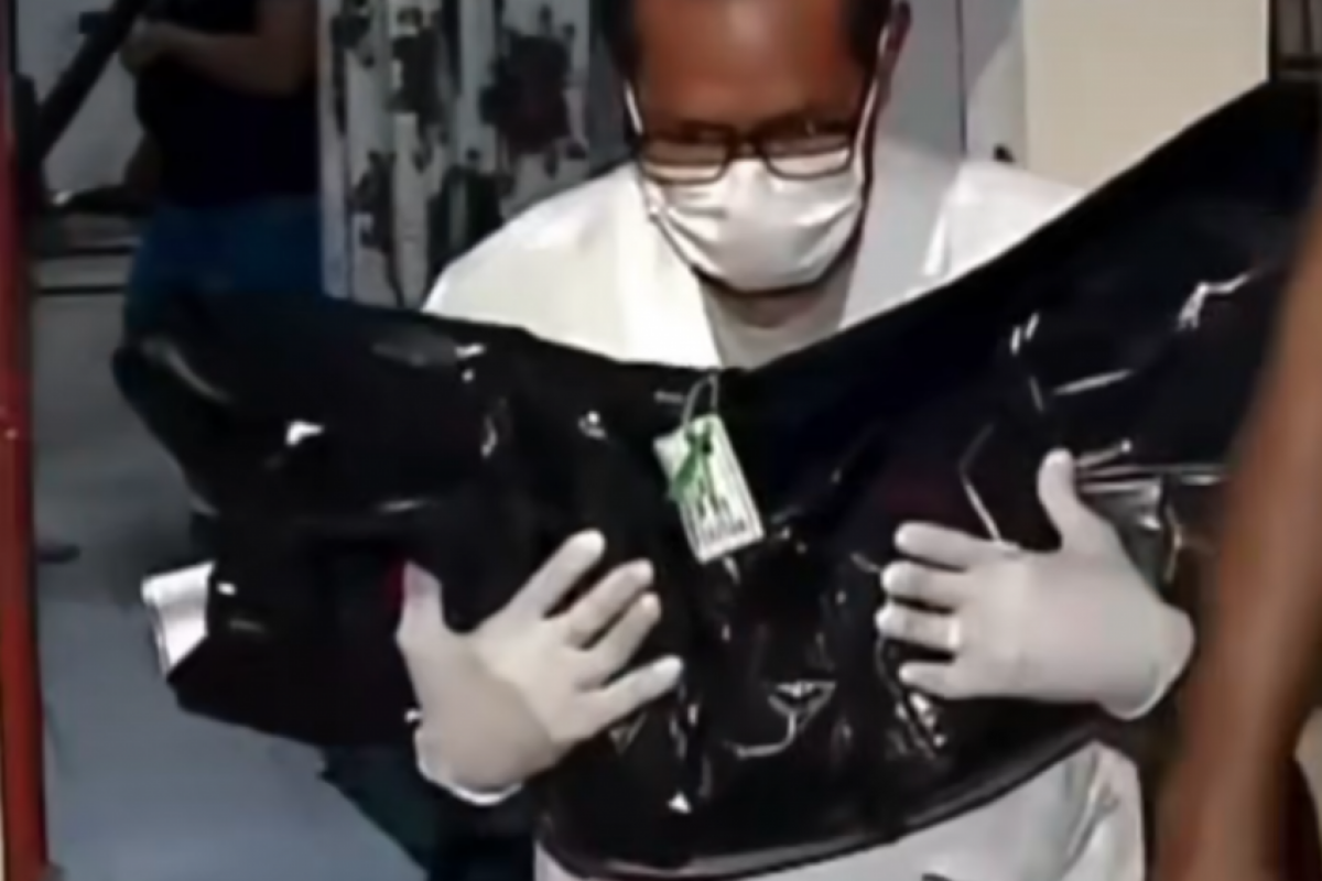 Animal conseguiu abrir guarda-roupa onde criança havia sido escondida durante o ataque.