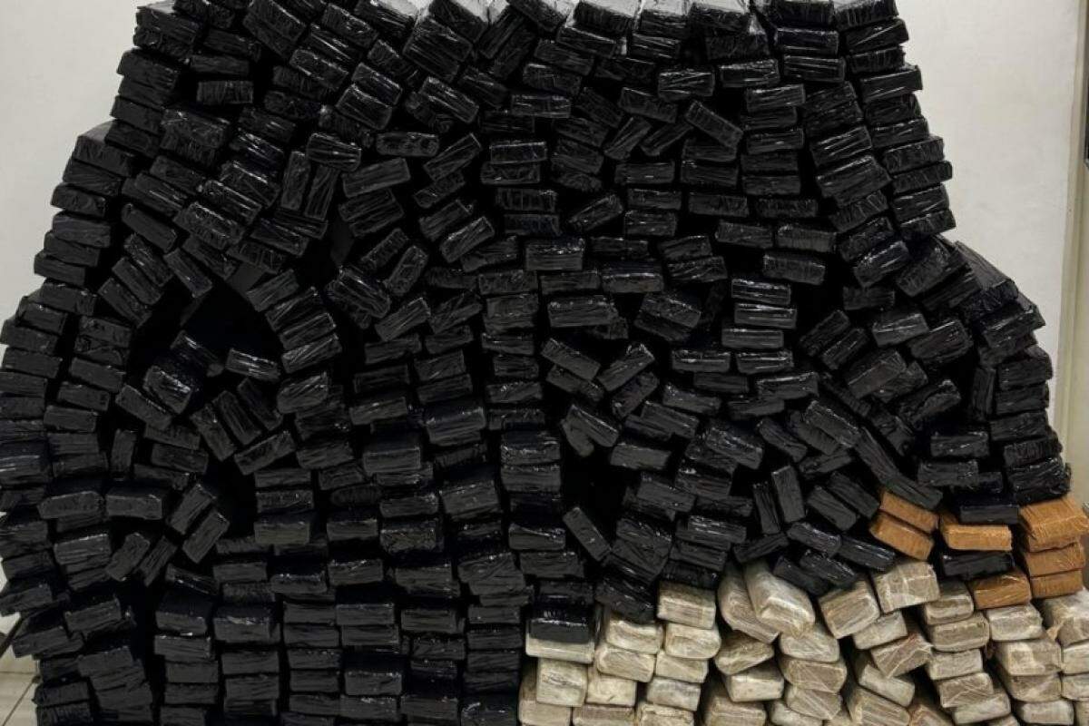 Foram localizados 484 tijolos de maconha que estavam escondidos