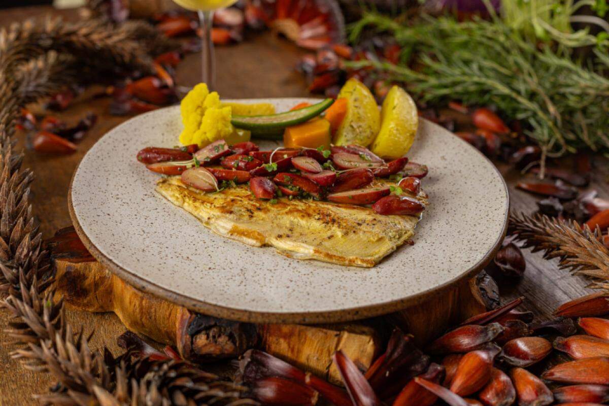 Festival do Pinhão tem diversidade gastronômica na Serra