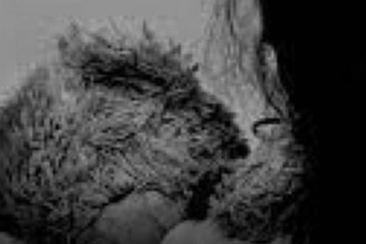 Aos 12 anos, menina é estuprada por 2 colegas na escola