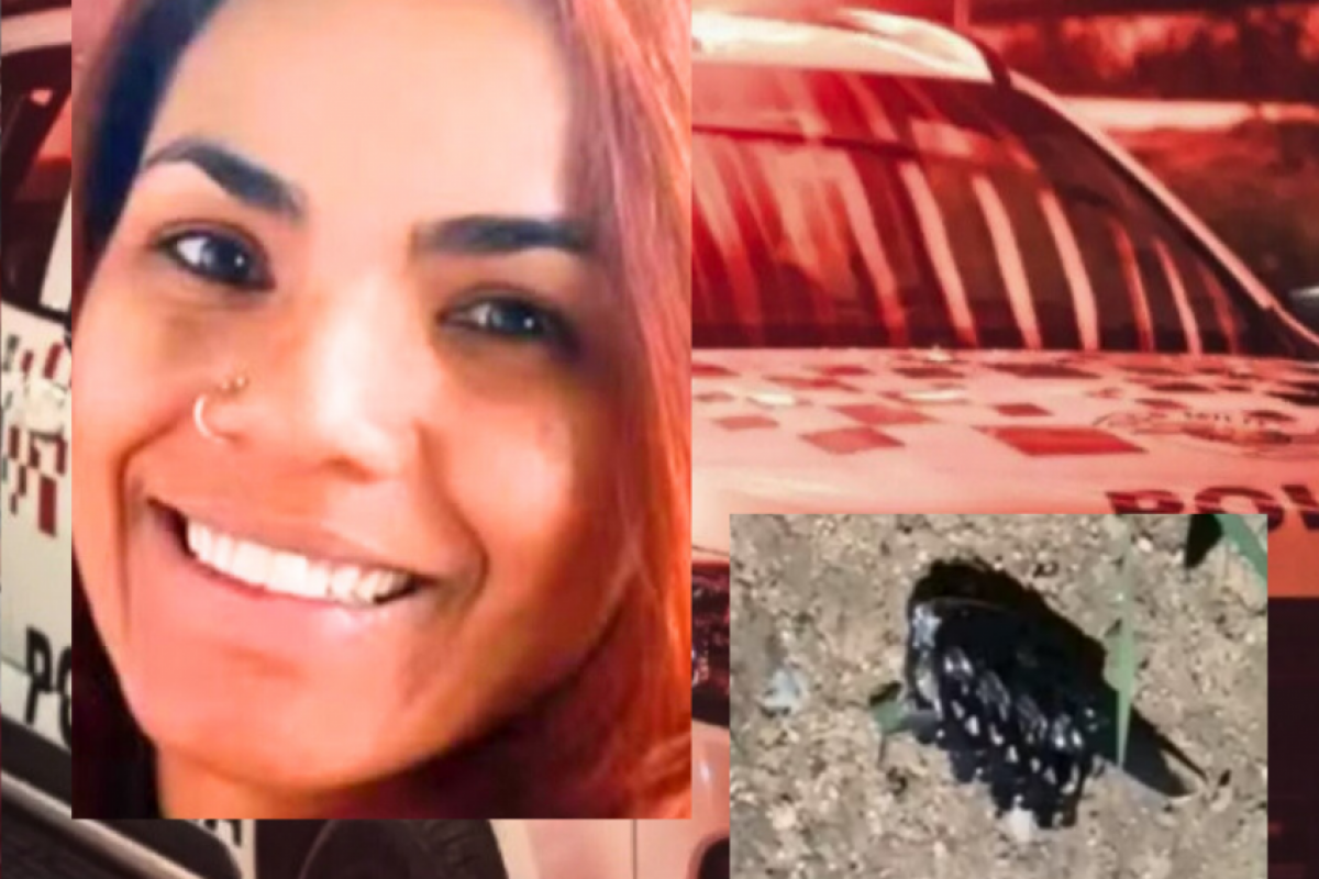 Após golpear Cleide pelas costas com a lâmina de soco inglês, a ex-cunhada fugiu.