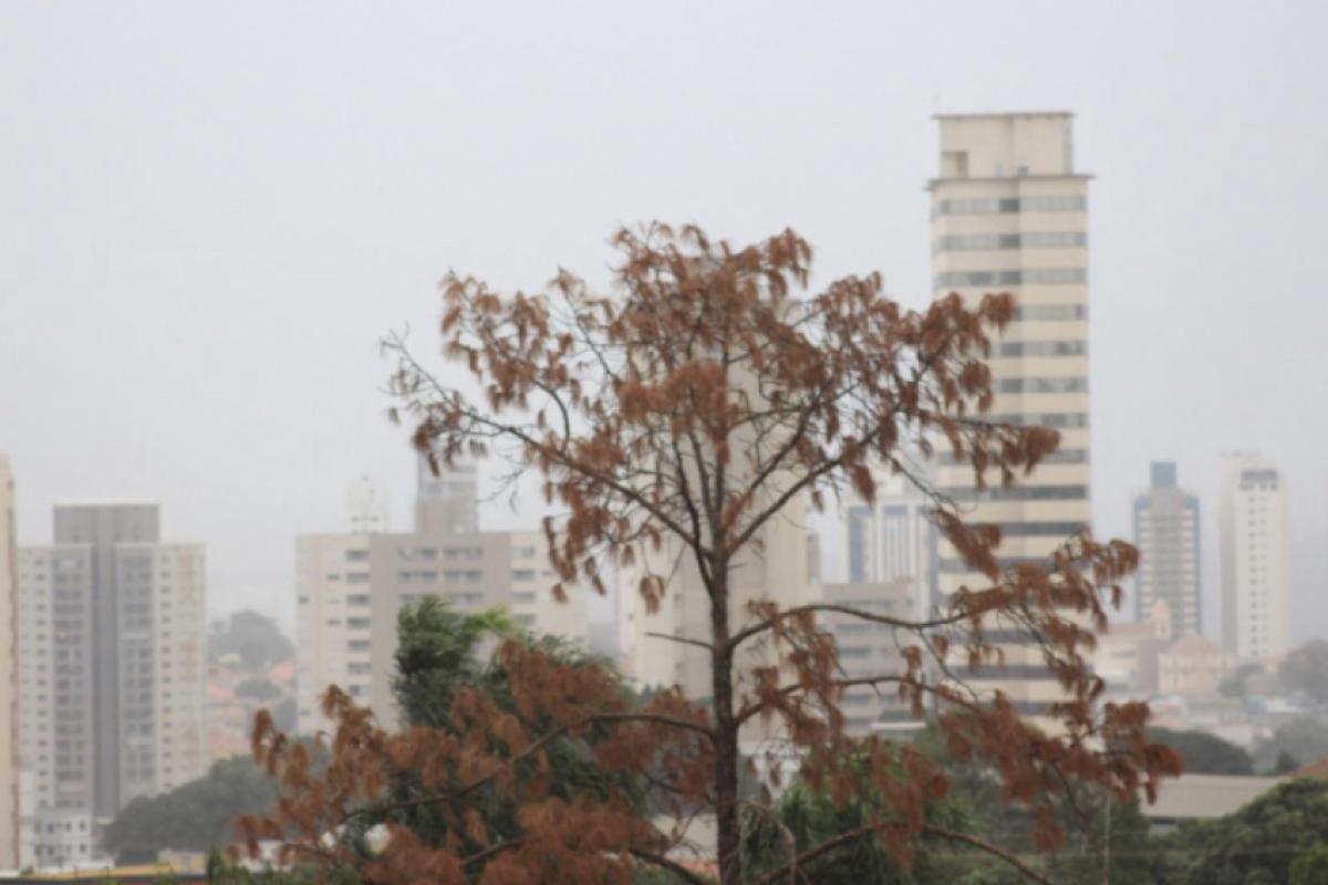 Tempo começa a ficar nublado a partir desta quarta-feira em Piracicaba; veja como fica a previsão 