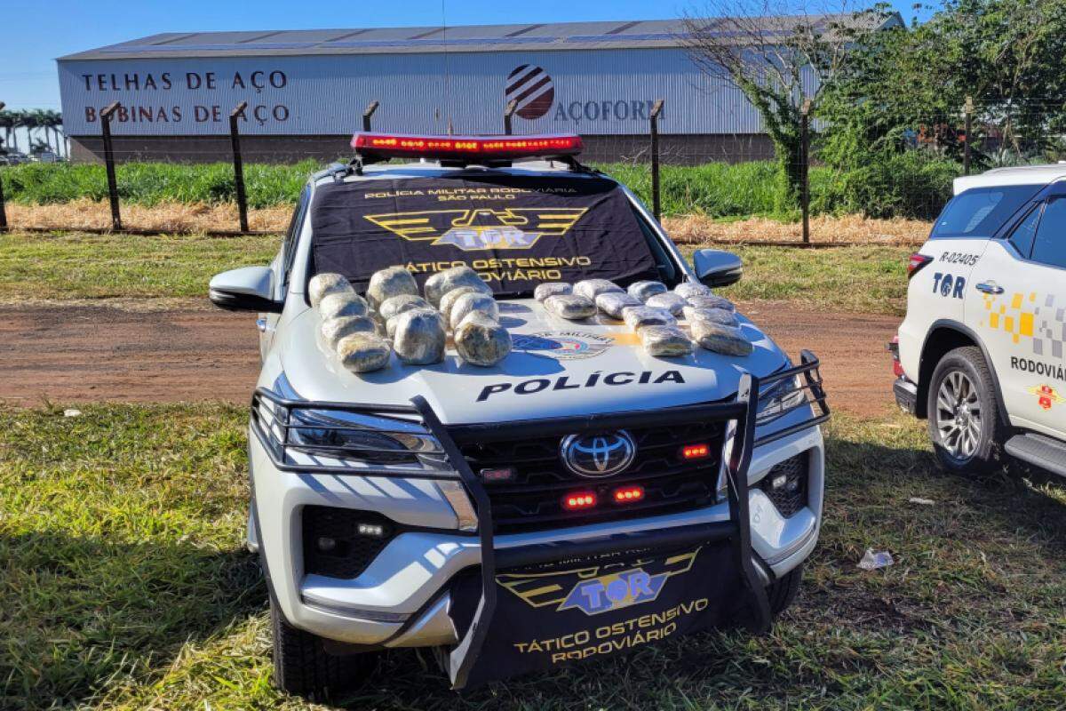 Operação Impacto/RENOE resulta em apreensão de mais de 12 kg de skunk em ônibus na SP-425