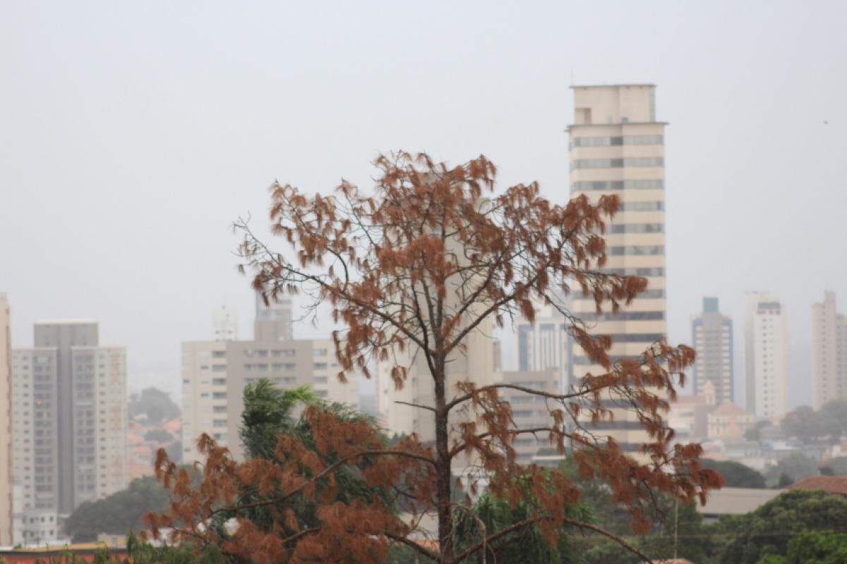 Clima seco e frio começa a se sobressair em Piracicaba nos próximos dias; veja como fica a previsão do tempo