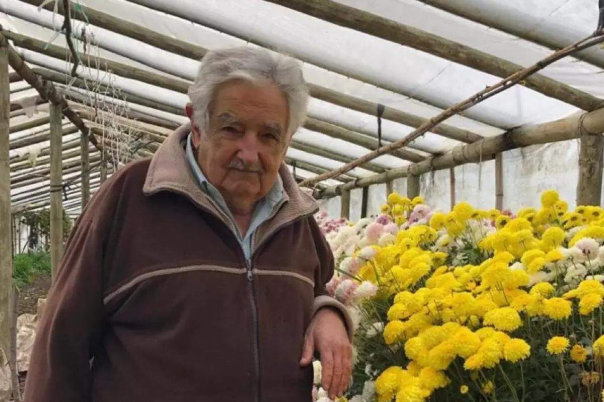O ex-presidente do Uruguai, Pepe Mujica, foi floricultor, antes de se tornar um líder continental para a esquerda