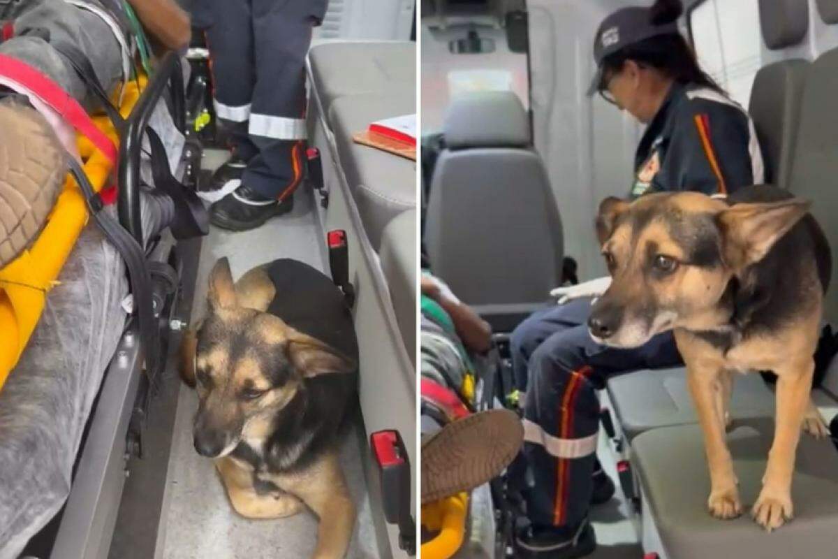 Imagem Notícia