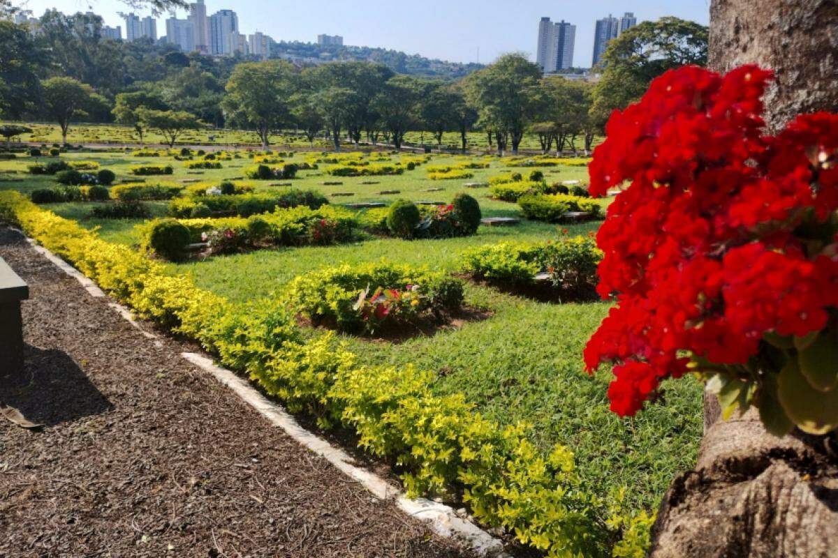 O Cemitério Parque Jardim do Ypê é um local arborizado