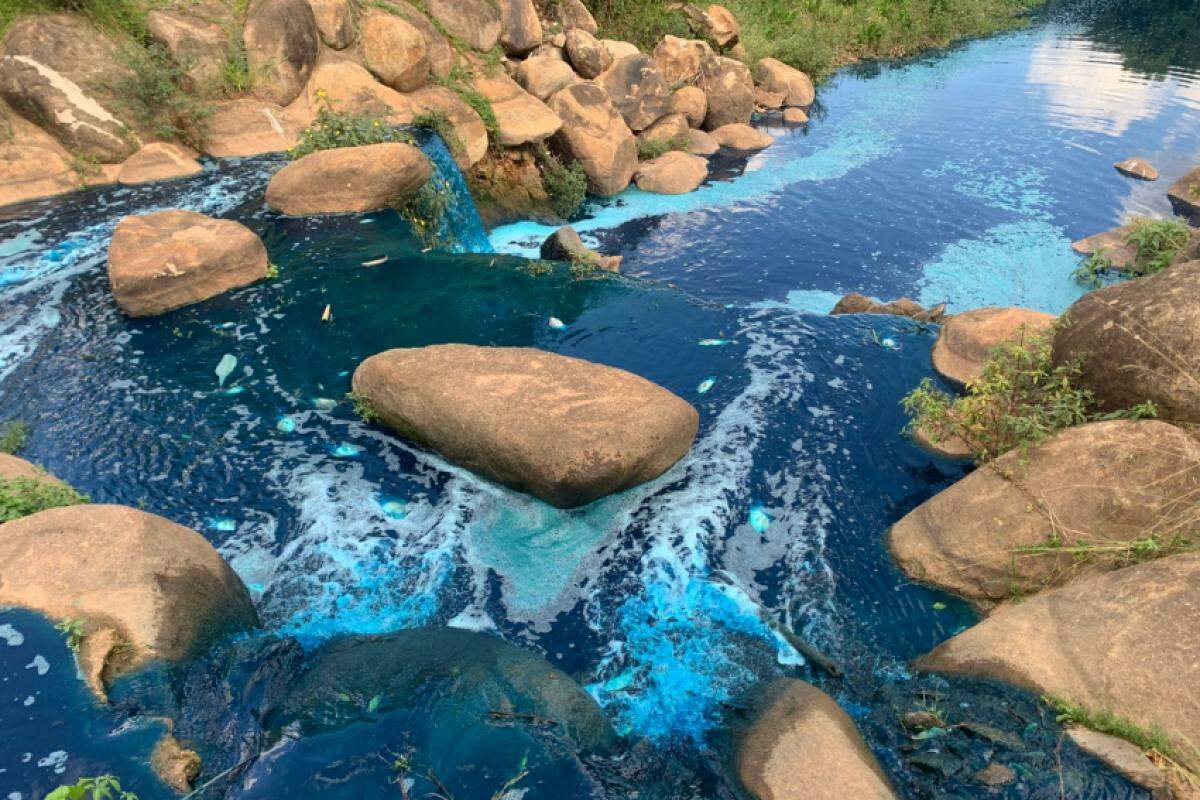 Lago do Parque Jardim Botânico das Tulipas tingido de azul após vazamento de corante industrial em Jundiaí