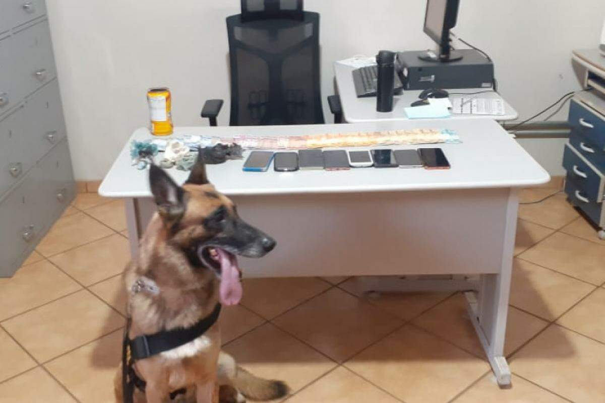 Ação foi em General Salgado e homem foi preso por tráfico