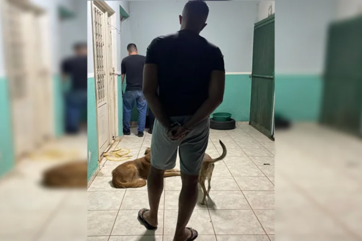 O suspeito foi localizado em casa, onde agentes apreenderam testículos de cães recém-castrados.
