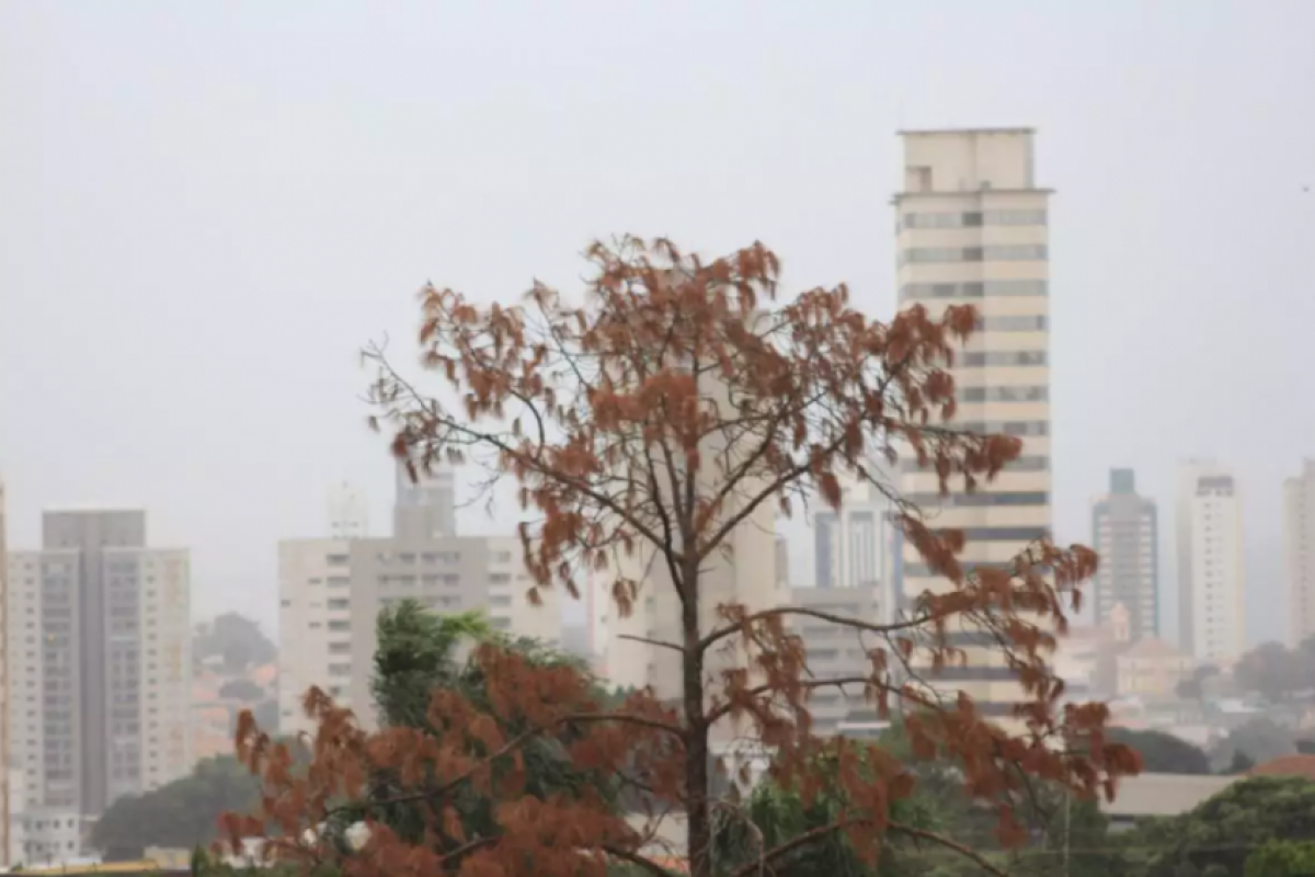 Máxima de hoje é de 25ºC