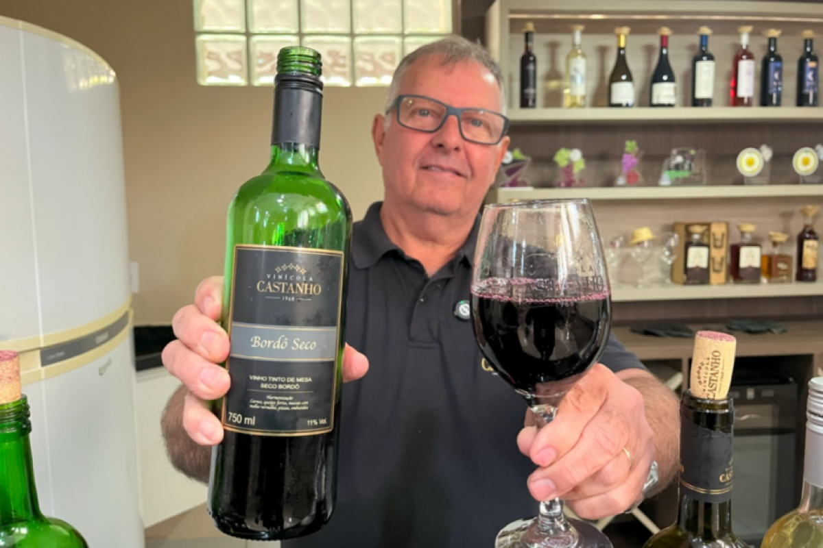 Investimentos em qualidade, uvas selecionadas e experiência turística têm elevado o vinho de Jundiaí a destaque nacional