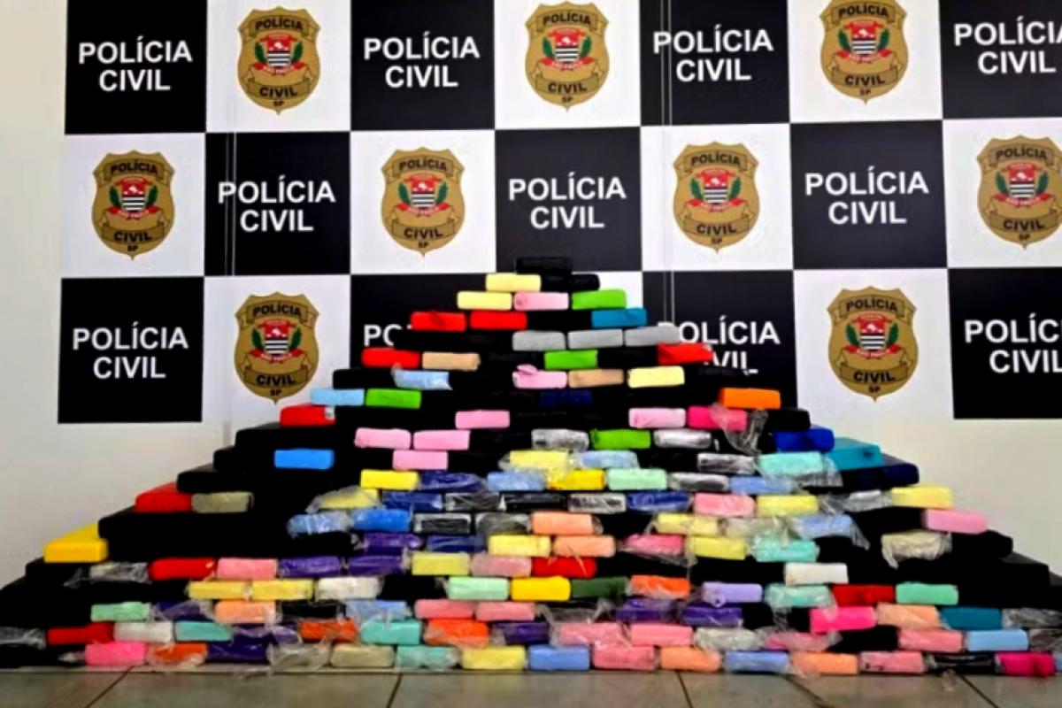 Os 232 quilos de cocaína estavam escondidos em uma parede falsa da carreta.