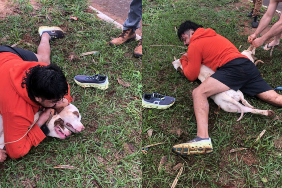 Apesar dos ferimentos nas pernas e de um dedo quebrado, o professor de artes marciais conseguiu imobilizar os cães até ser socorrido.