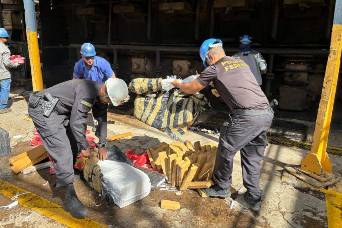 Ação destruiu 955 quilos de maconha e 4 quilos de cocaína, reafirmando o compromisso com o enfrentamento ao crime organizado