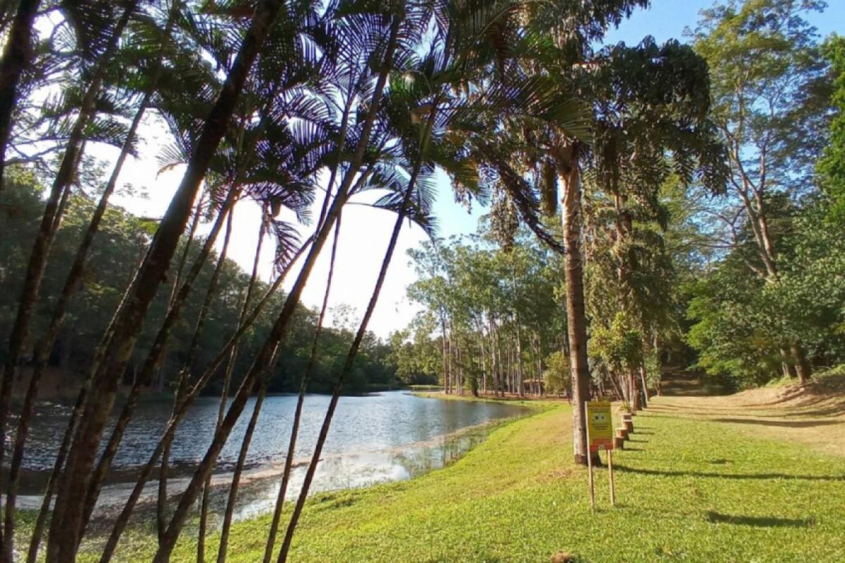 Horto de Tupi será cenário para oficina gratuita de documentário