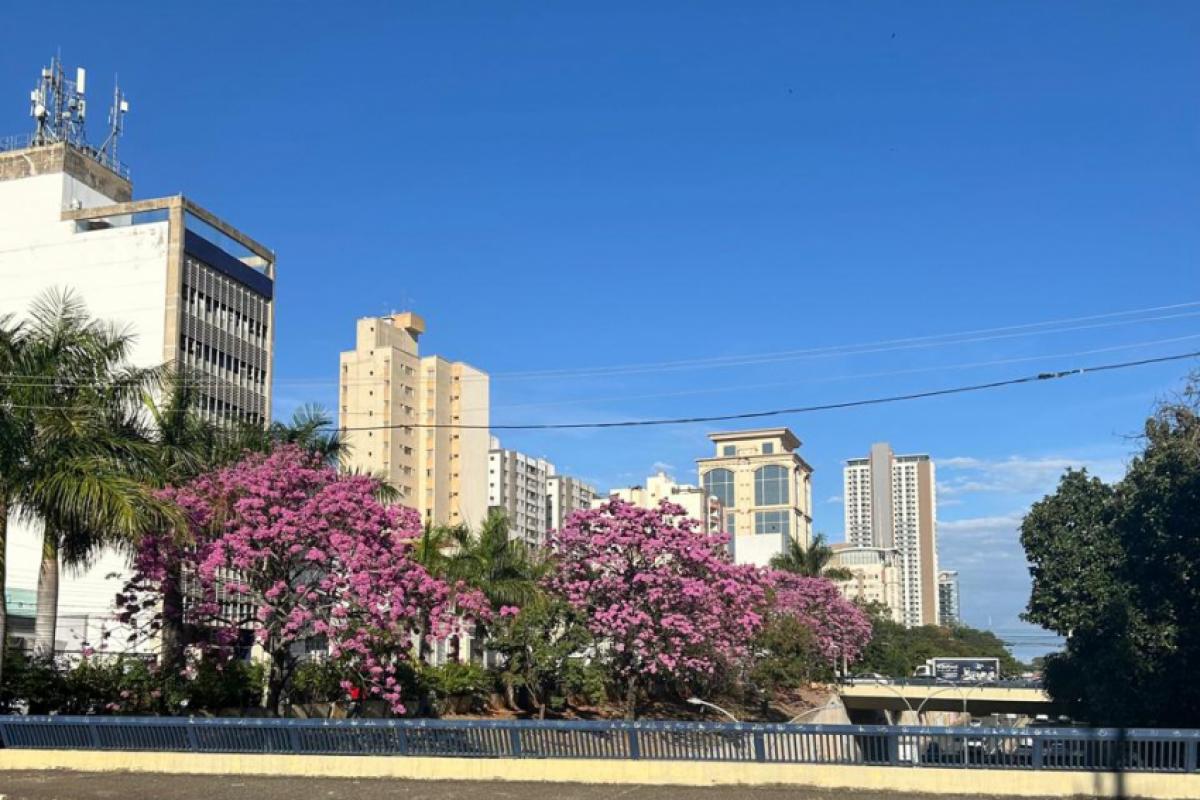 Amplitude térmica marca o início da semana em Campinas, com manhãs frias e tardes quentes.
