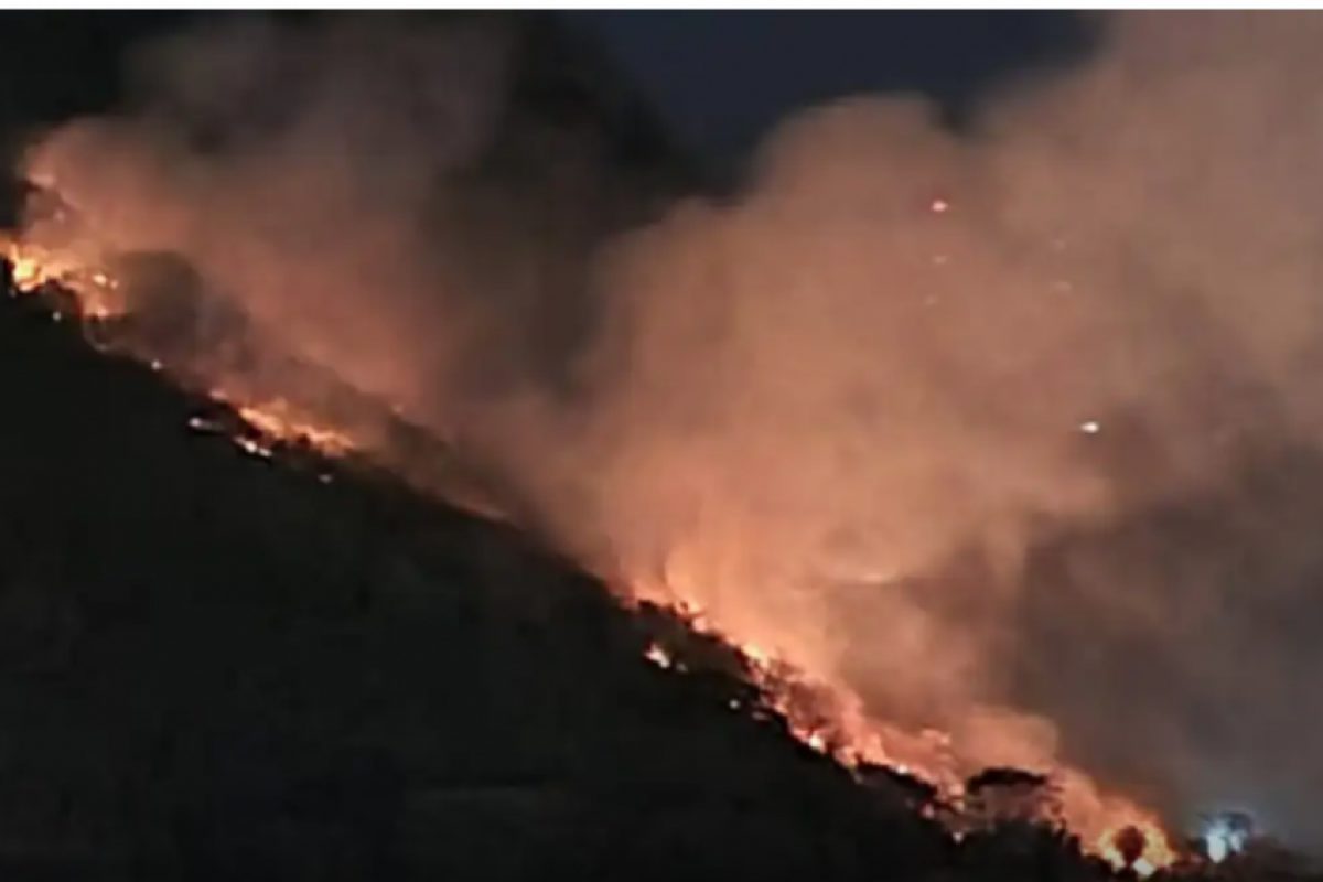 Valdir e Manoel tentavam evitar que o fogo atingisse reserva do órgão.