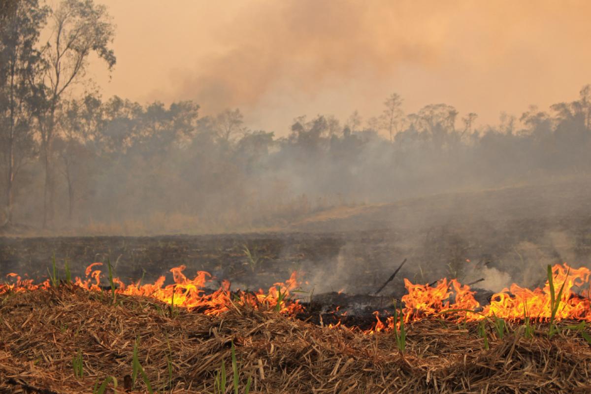 Com o veranico e o tempo seco, Defesa Civil alerta: risco de queimadas em Piracicaba aumenta nos próximos dias.
