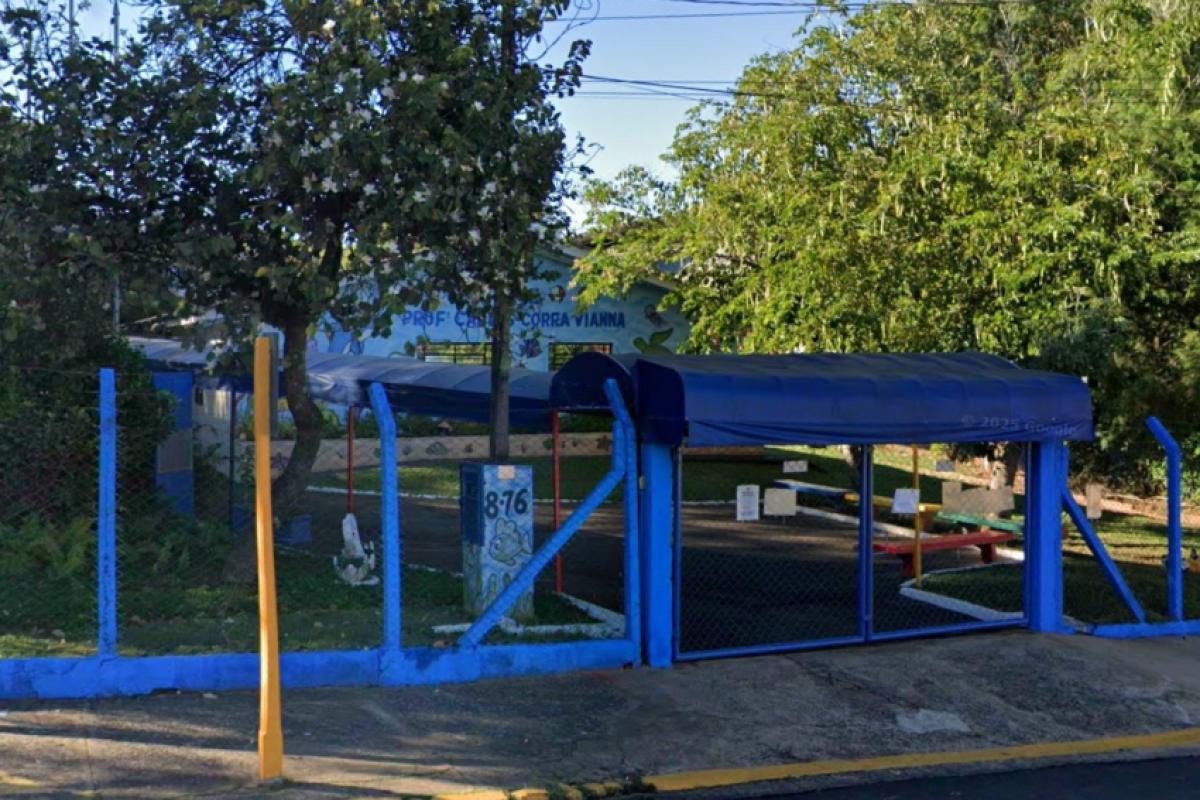 Emei Carlos Correia Vianna