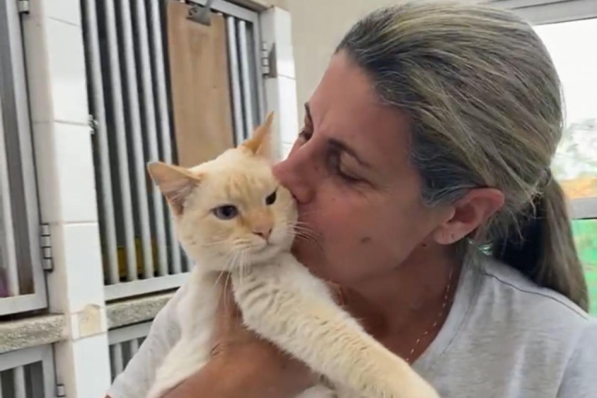 Paola Simonaggio, da Equipe Gatos de Rua: ‘Muitos vêm doentes’