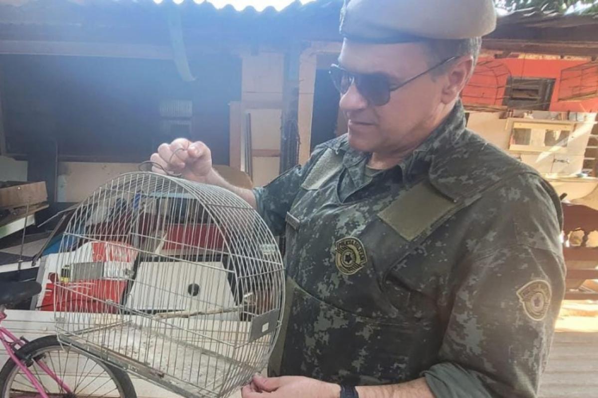 Morador de Araçatuba alegou que libertou o pássaro ao saber da visita da Polícia Ambiental