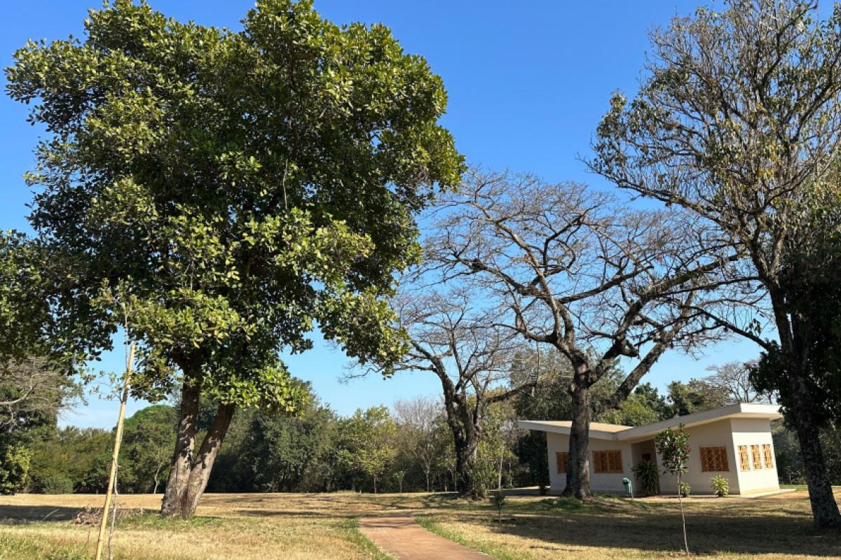 O Plante Vida 2025 será realizado no Jardim Botânico de Piracicaba, unindo famílias e natureza em uma celebração especial.