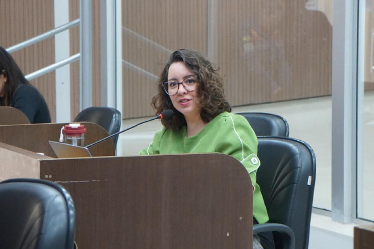Vereadora Marília Martins durante a sessão ordinária desta terça-feira