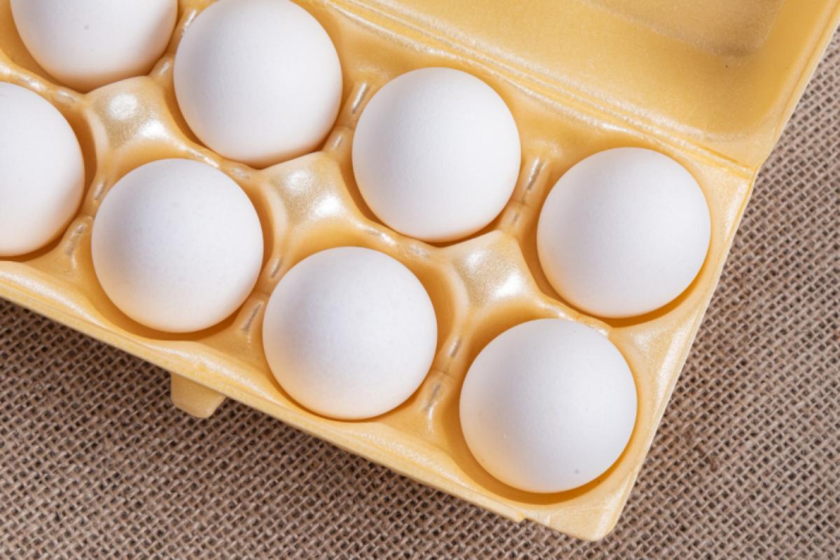 Taxação de 50% em exportações para os EUA começou em agosto