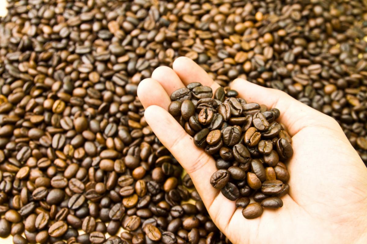 As importações líquidas de café na China cresceram 13,08 mil toneladas entre 2020 e 2024
