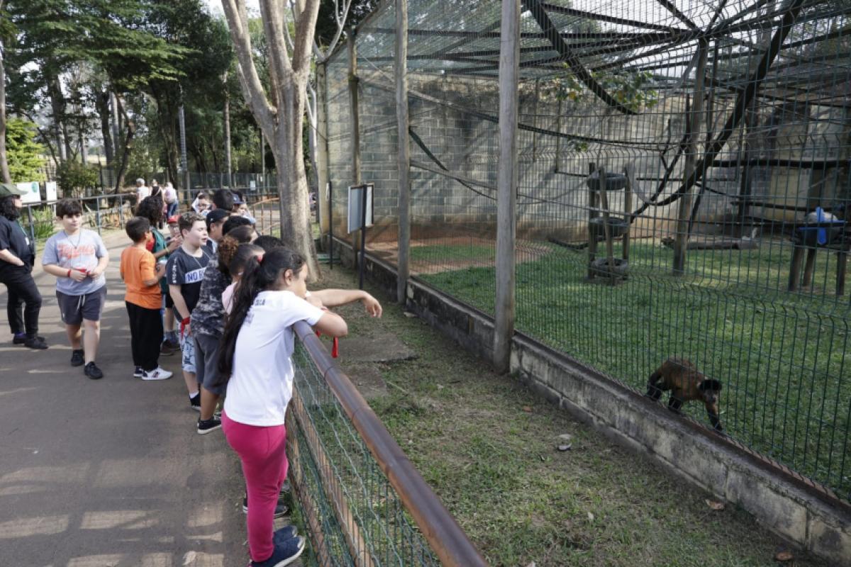 A reunião consiste em aprimorar a gestão e o bem-estar dos animais no Zoológico Municipal de Piracicaba