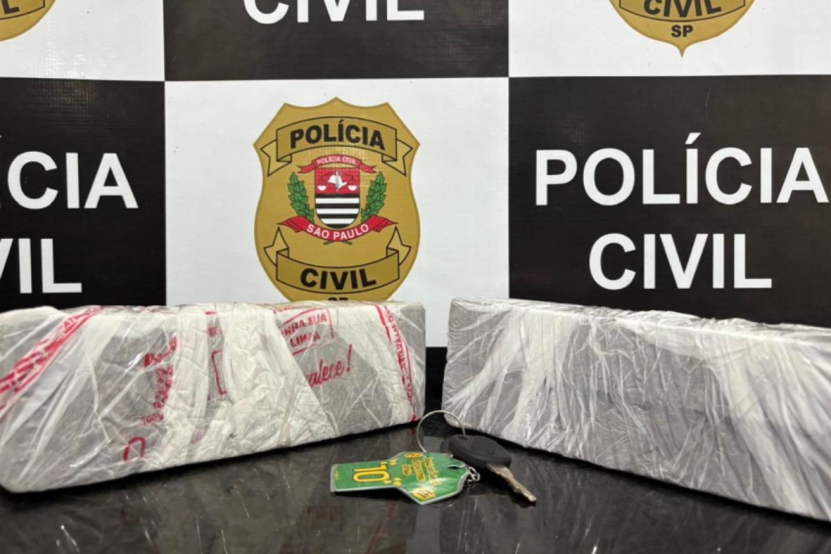 Tijolos de maconha apreendidos pela Polícia Civil