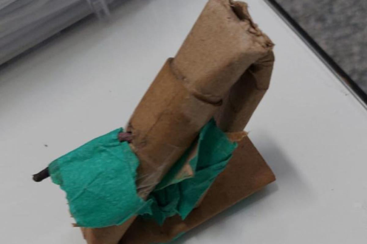 Ele embarcou de São José do Rio Preto e evita prisão; autoridades alertam sobre implicações legais