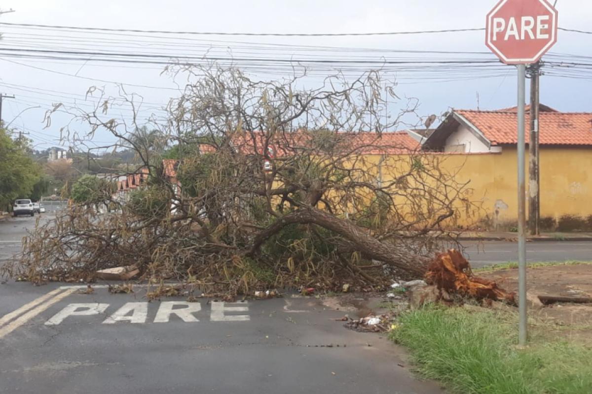Equipes da força-tarefa trabalham na desobstrução de vias, remoção de resíduos e na reorganização das áreas mais atingidas