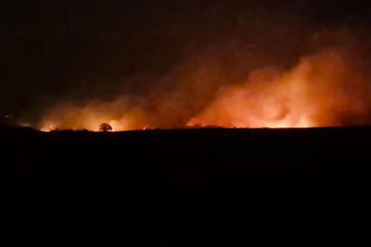 Chamas destruíram parte da Mata do Canha, plantações e 40 famílias chegaram a ser ameaçadas