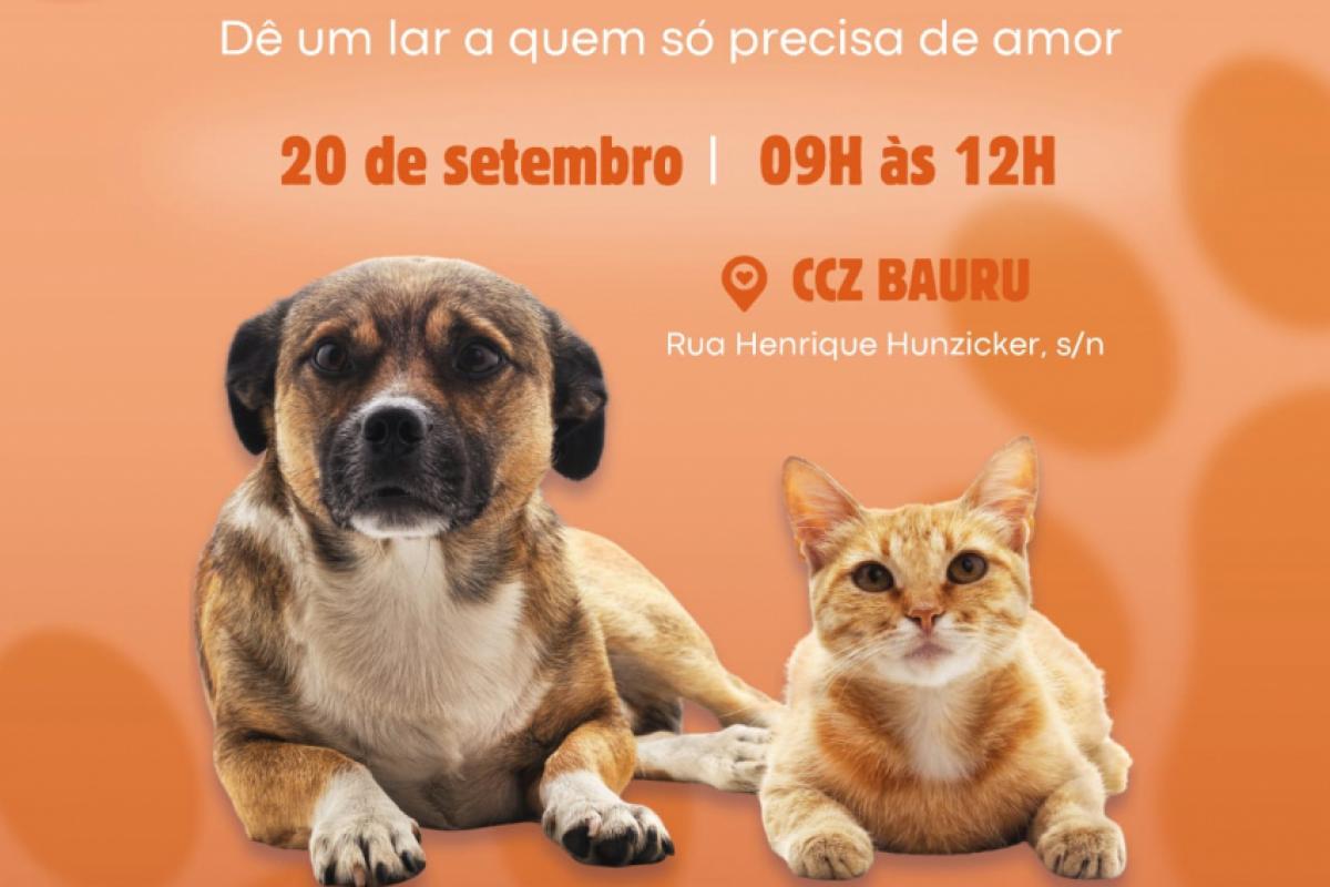 Para efetivar a doação, é necessário ter 18 anos ou mais e apresentar um documento pessoal com foto e comprovante de residência