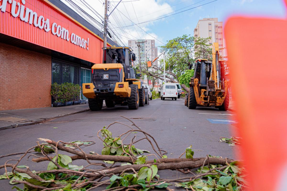 Com apoio de maquinários pesados, equipes seguiram mobilizadas para a retirada de árvores caídas