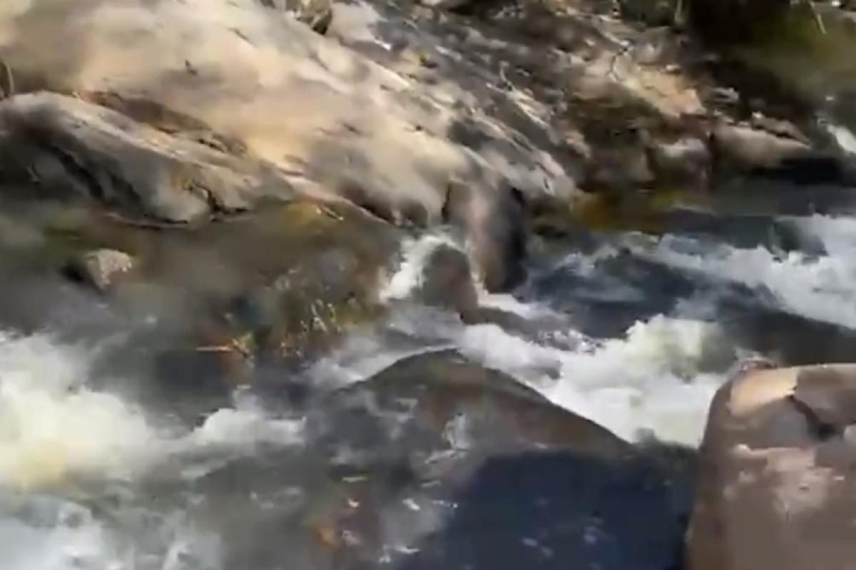 Esgoto caiu na cachoeira no Putim 