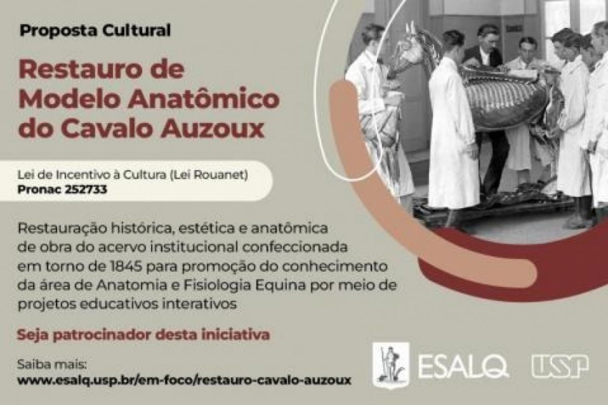 O processo levará em consideração critérios técnicos relacionados à preservação estrutural e às características originais da peça