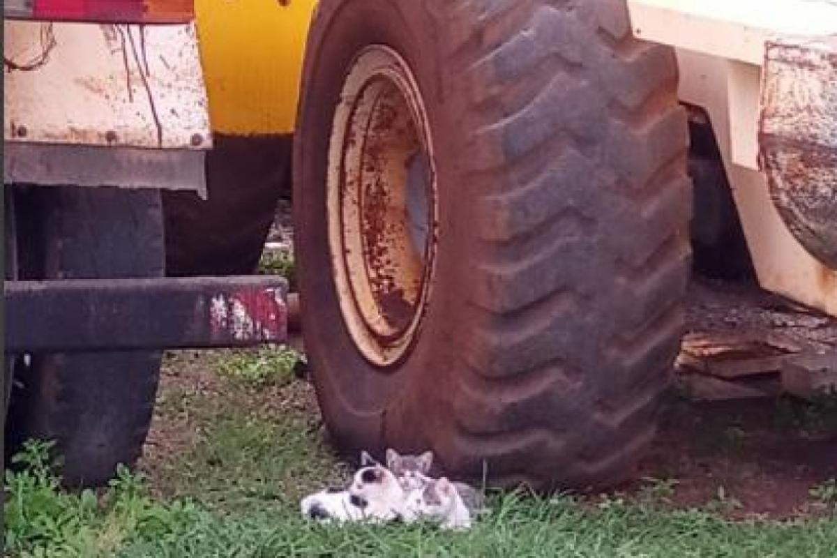Estação de Tratamento de Água do Jardim Ouro Verde