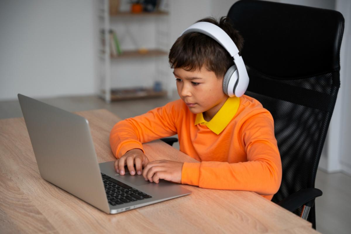 A proposta foi aprovada após denúncia feita pelo influencer Felca sobre o tema que se tornou viral nos últimos meses