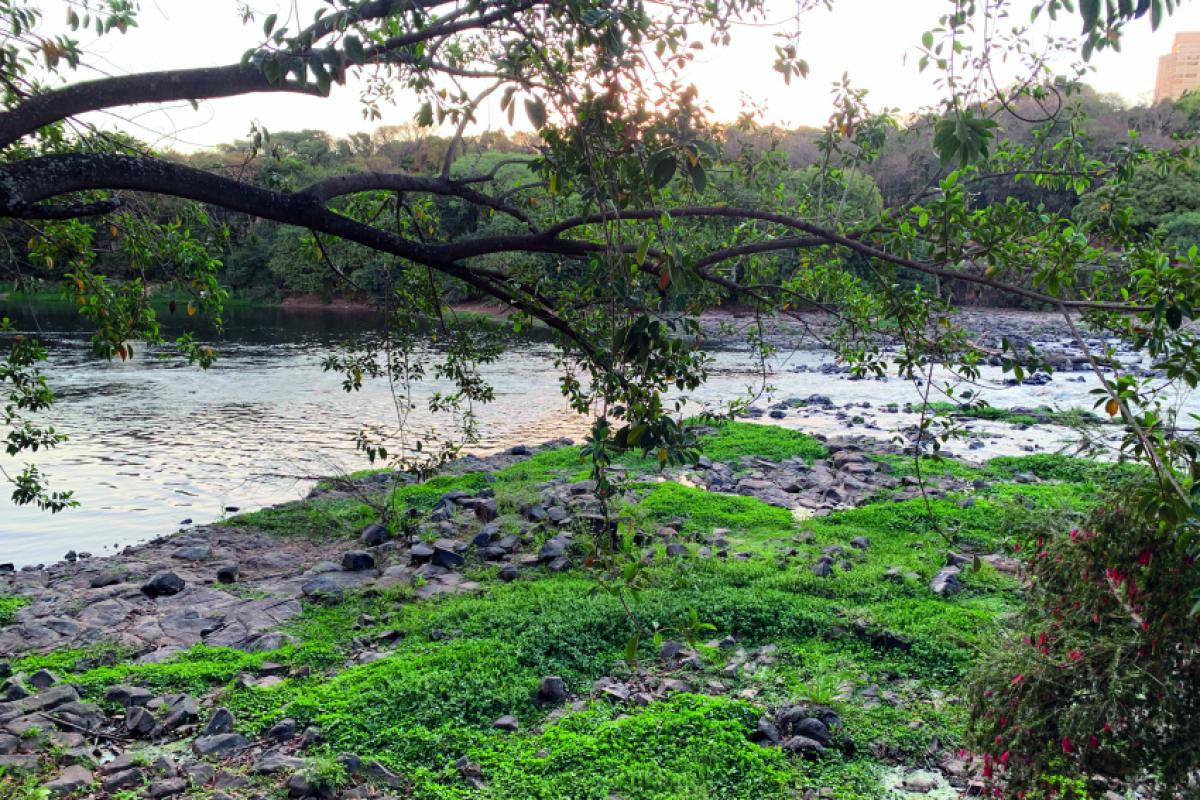 Rio Piracicaba na tarde desta segunda-feira (01).