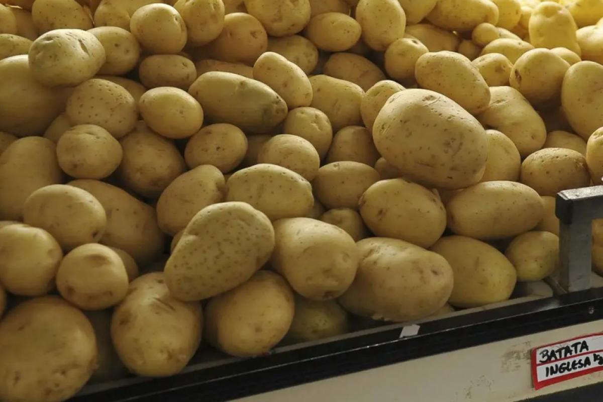 Pesquisa da PUC-Campinas aponta queda pelo 4º mês seguido, mas alta acumulada em 2025 ainda é de 6,26%.