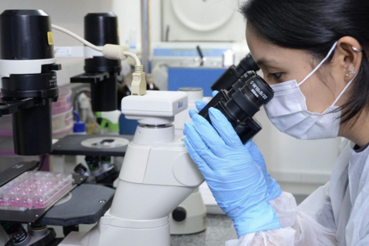 A doença se desenvolve no intestino grosso, se estendendo para a parte do cólon e reto, abrangendo a parte final do canal intestinal