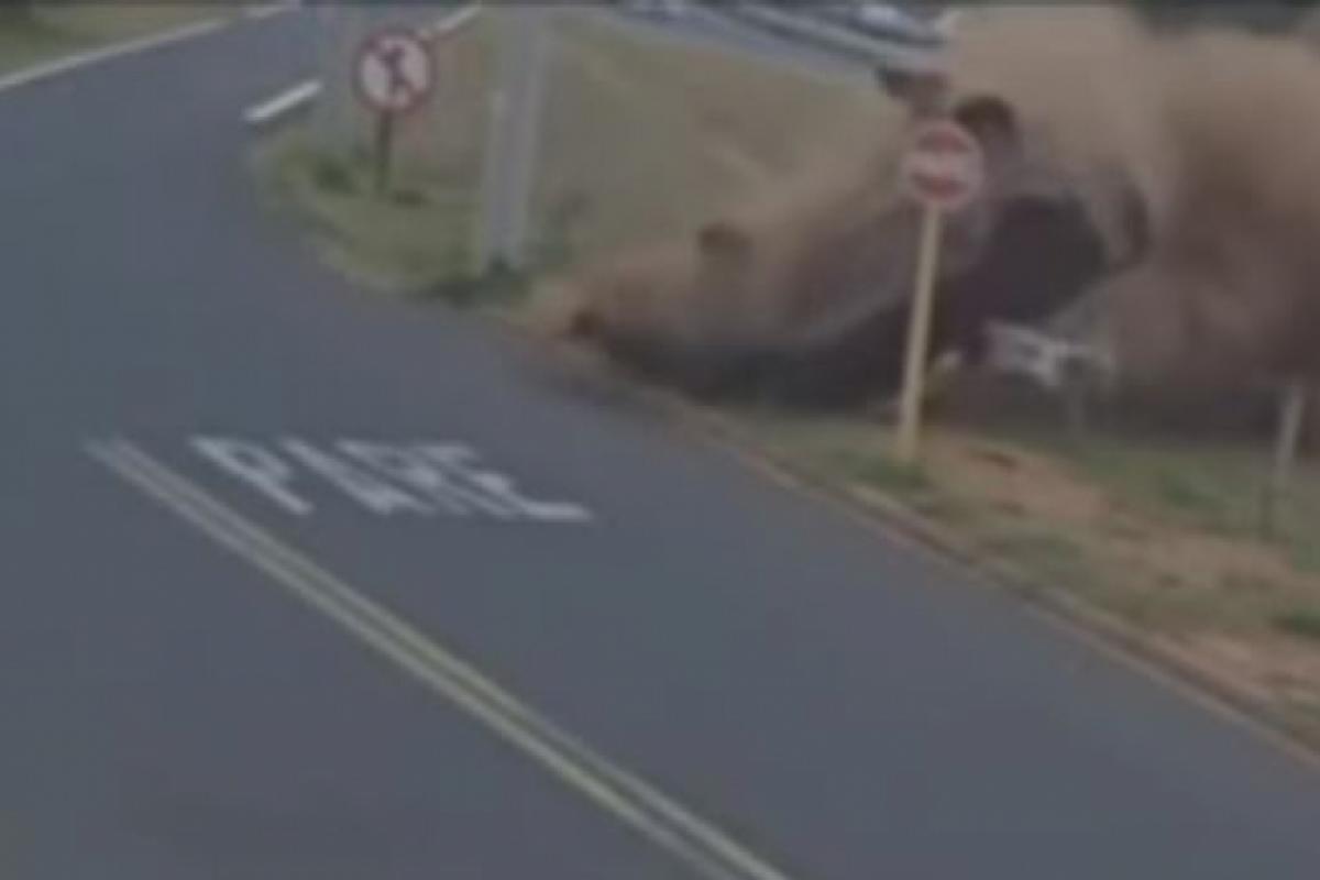 Carro capotou, derrubou poste de sinalização e foi parar no acesso ao Parque Santa Terezinha